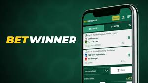 BetWinner Bookmaker Your Ultimate Betting Experience